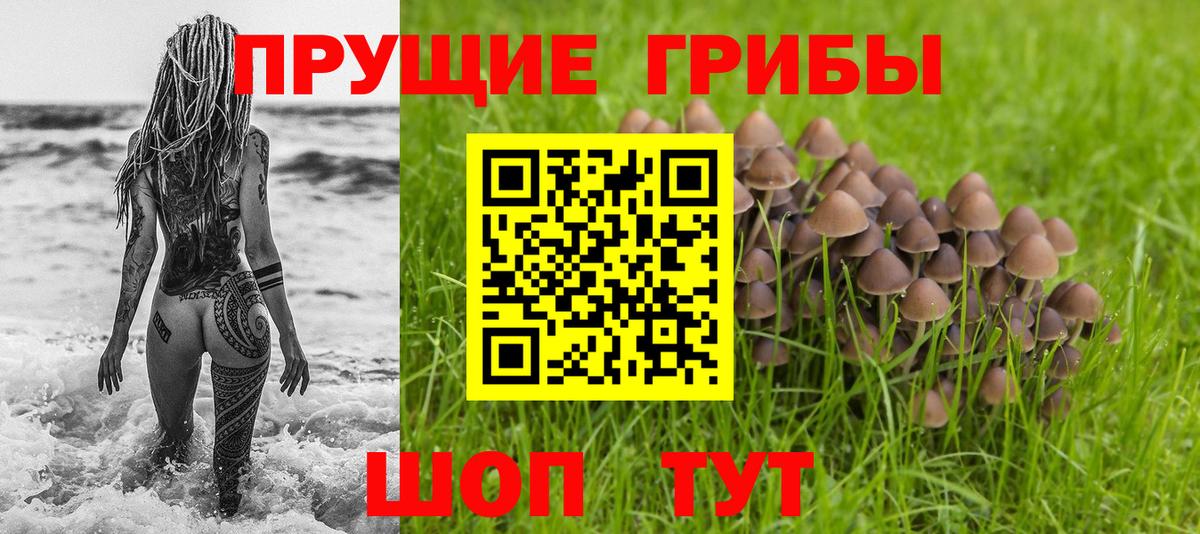 Псилоцибиновые грибы GOLDEN TEACHER Кушва
